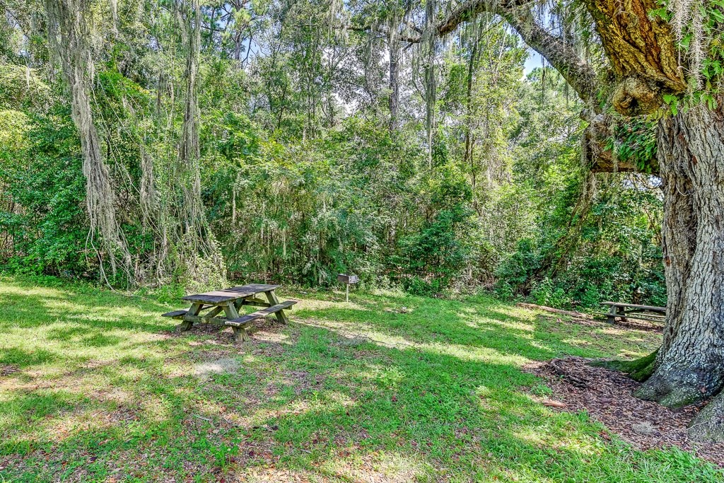 A picnic table sits in a grassy clearing surrounded by trees.