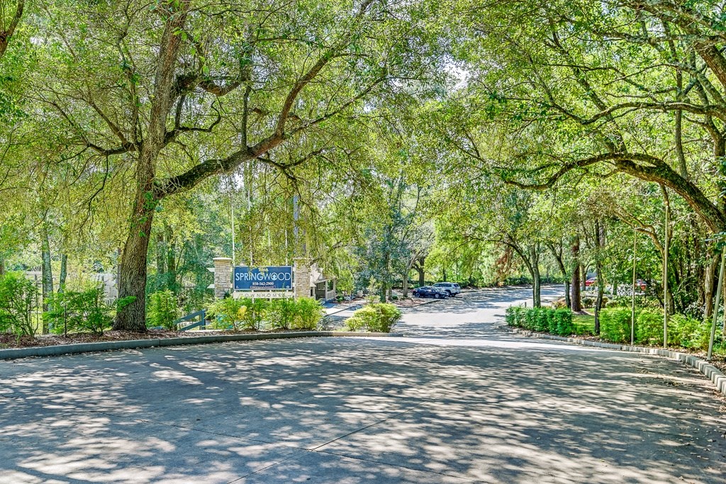 A tree-lined street with a sign that says Springwood.