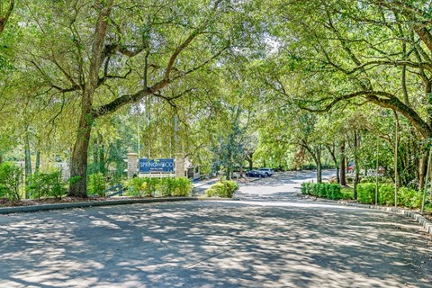 Tree Lined Street at Springwood Townhomes, Tallahassee, Florida