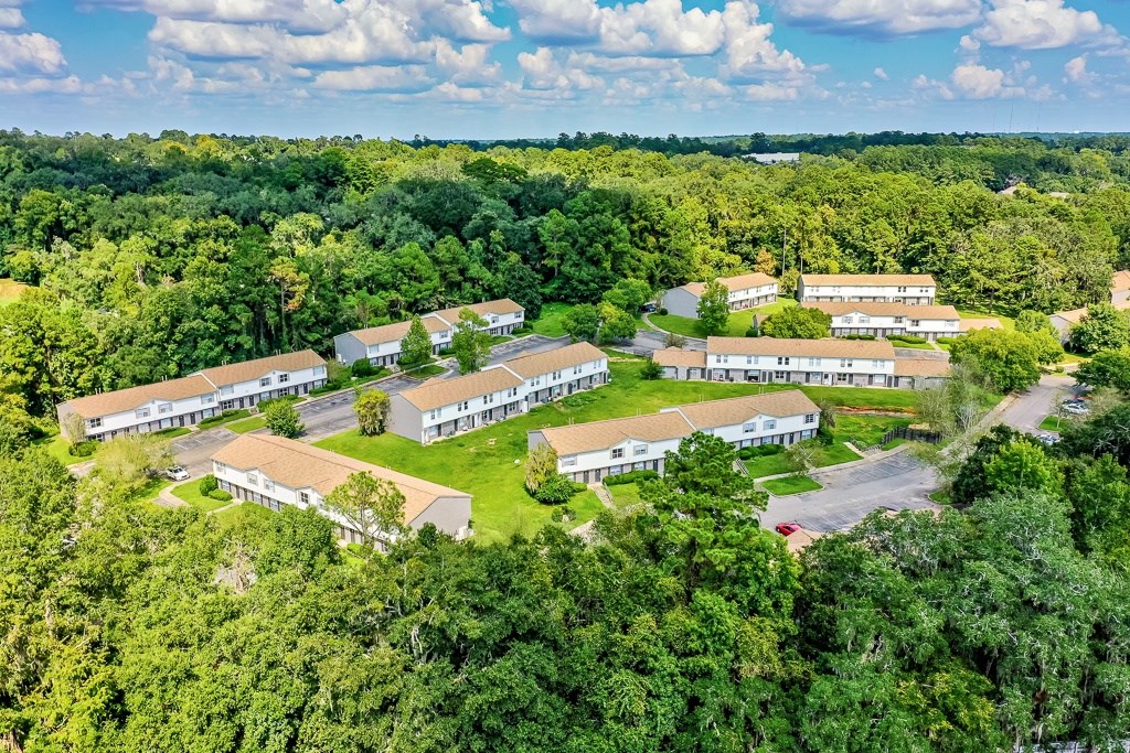 A bird's eye view of a residential area surrounded by green trees.