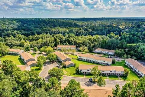 Bird's eye view at Springwood Townhomes, Florida, 32303