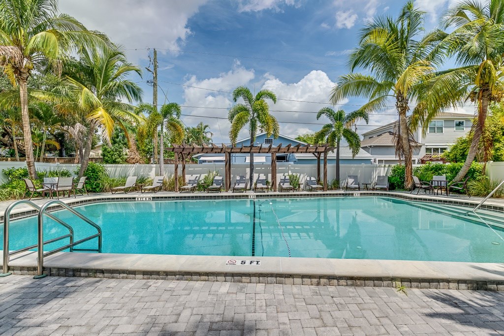 A pool surrounded by palm trees and a clear blue sky.