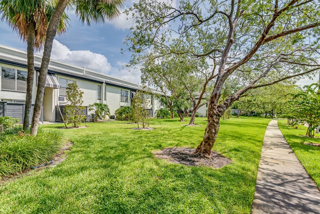 A tree in a grassy area with a building in the background.