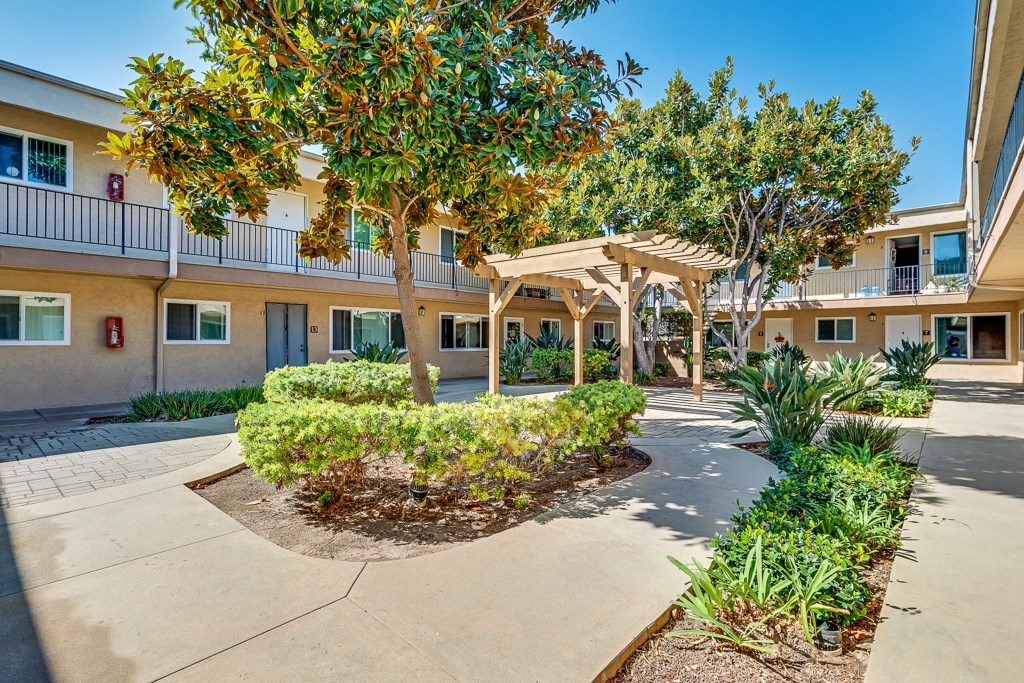 A courtyard with a tree and a building in the background.