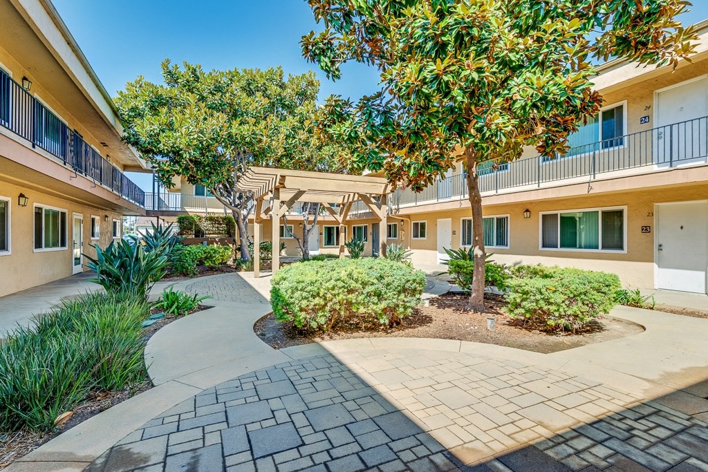A courtyard with a tree and bushes in front of apartment buildings.