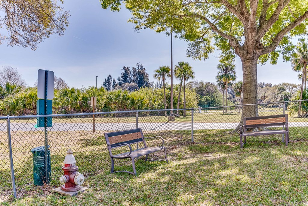 a park with two benches and a fire hydrant