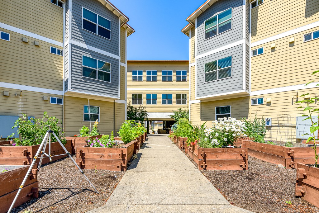 courtyard walking path outdoor lined with planters