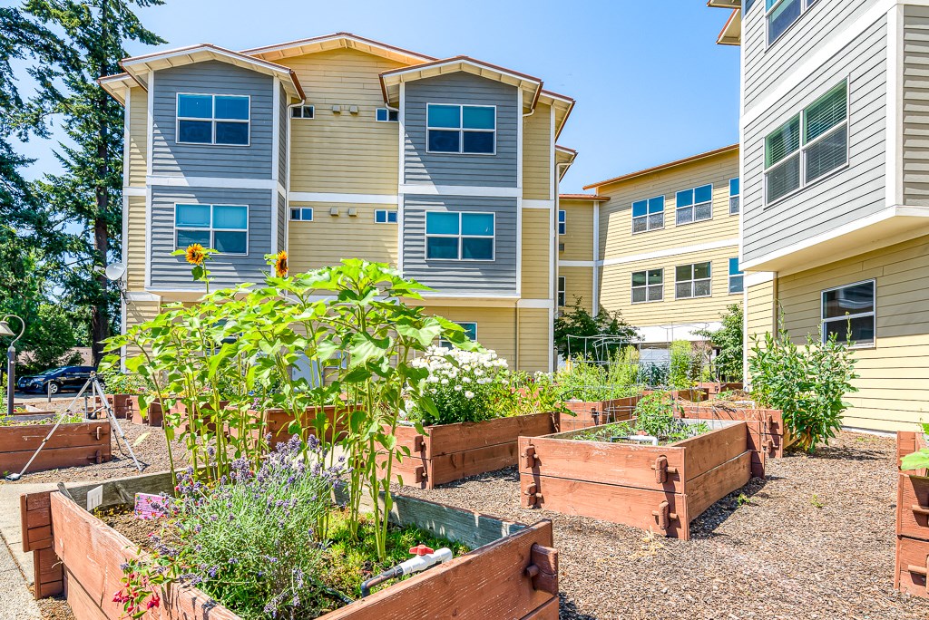 Courtyard and garden near building