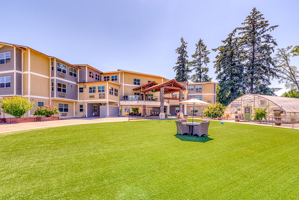 big green lawn near commmunity lined with trees