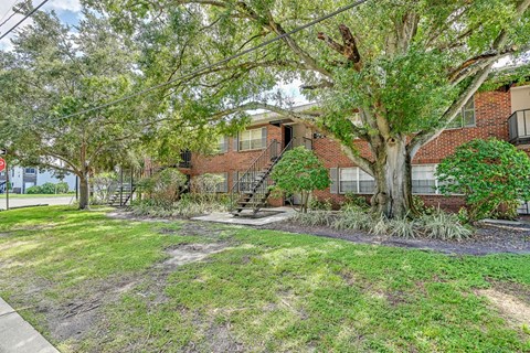 A tree in front of a brick building at Green Oaks Apartments, Tampa, 33616