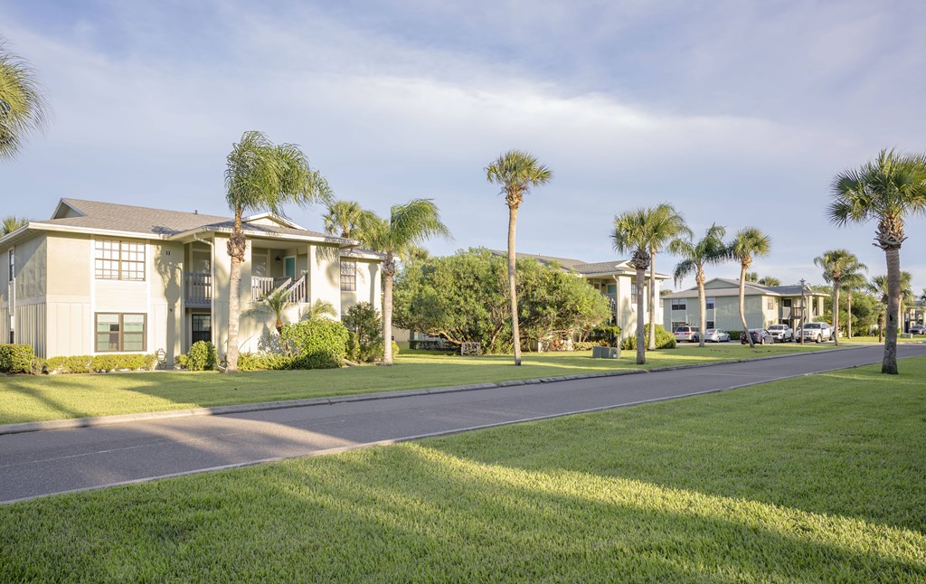 A row of houses with palm trees in front.
