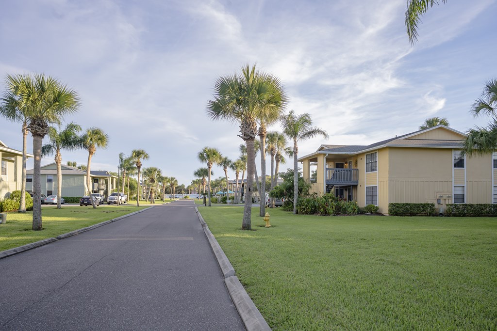 A street lined with palm trees and houses.