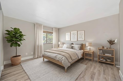 A bedroom with a large bed, a potted plant, and a nightstand with a lamp.
