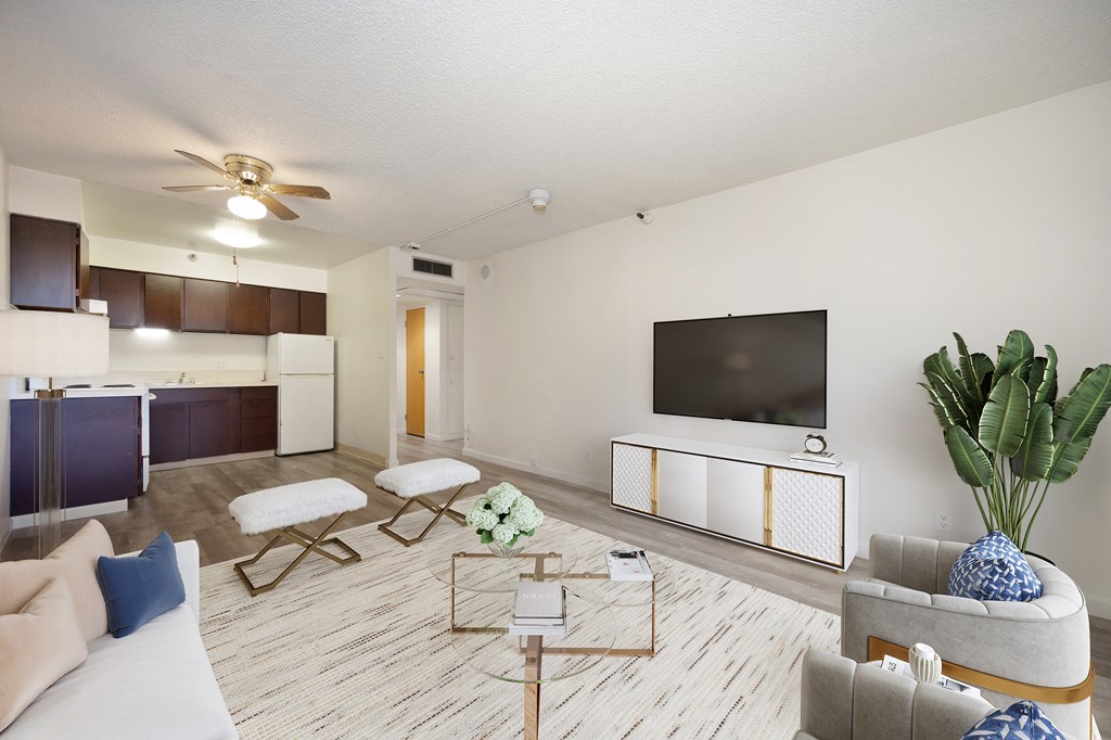 a living room with a couch and a tv at The Riverview (55+), Sacramento