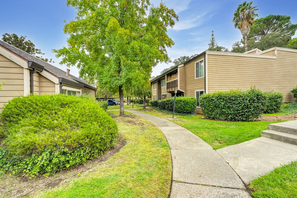 the preserve at ballantyne commons apartments walkways and trees
