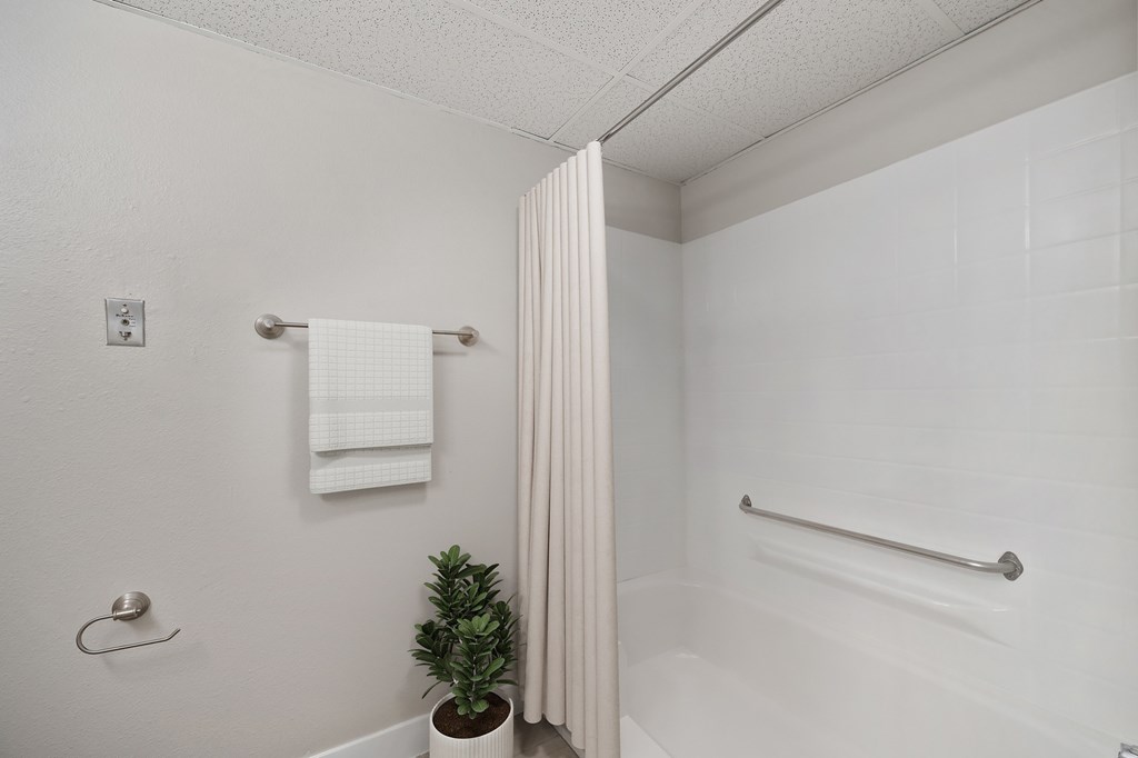 A white bathroom with a towel, a plant, and a towel rack.