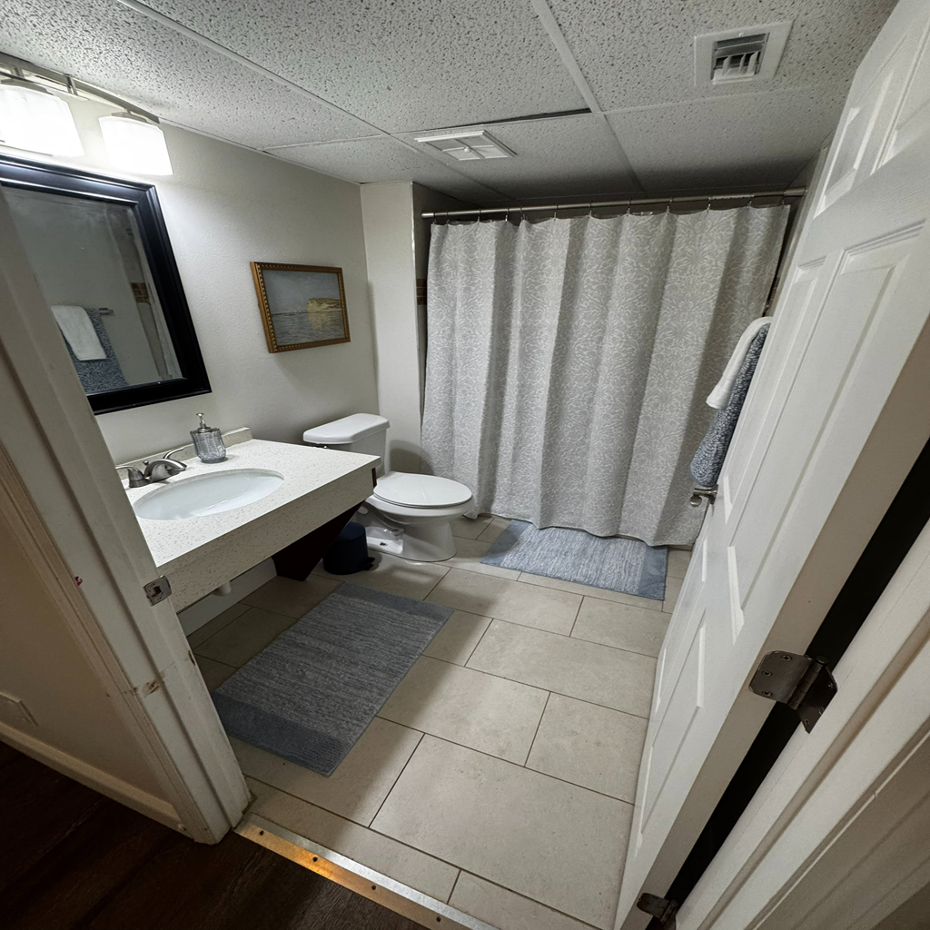 A bathroom with a toilet, sink, and shower curtain.