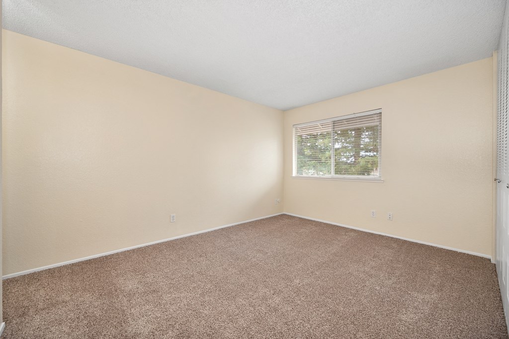 an empty room with carpet and a window