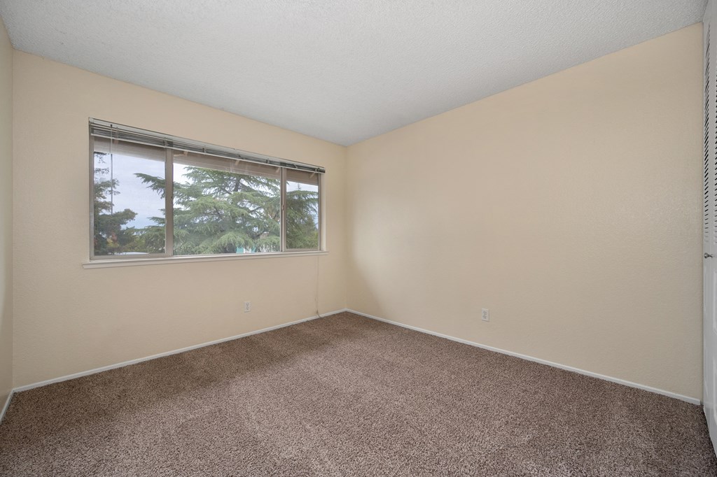 an empty room with carpet and a window