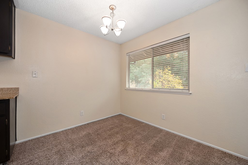 an empty living room with a window and carpet