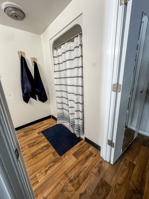 a small hallway with a door to a closet and a shower curtain