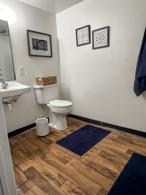 a bathroom with a toilet and a sink and a blue rug