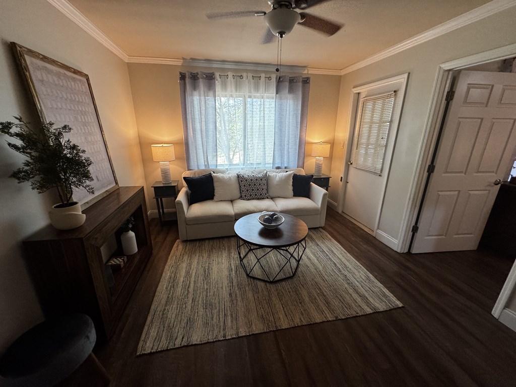 A living room with a white couch and a rug.