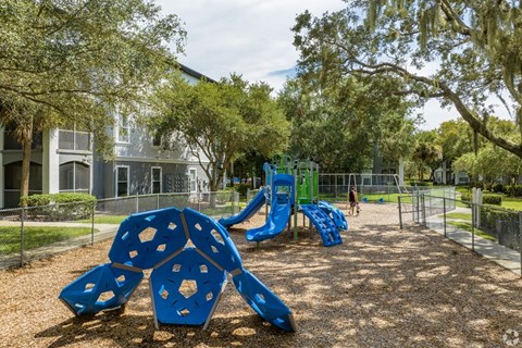A playground with a blue slide and a climbing frame.