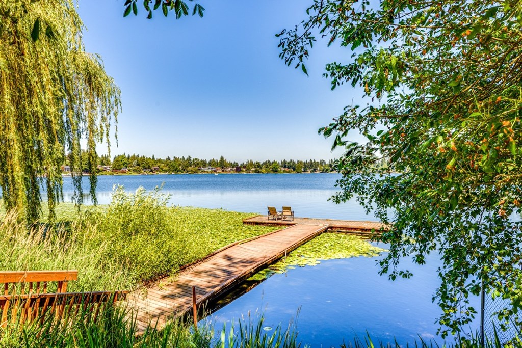 a dock on a lake near a weeping willow tree