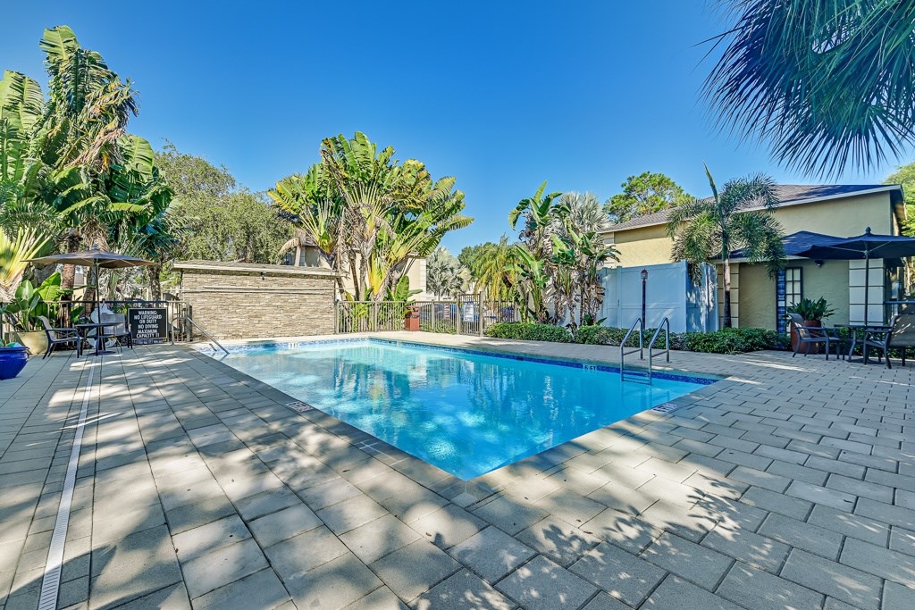 A swimming pool surrounded by palm trees and a patio area.