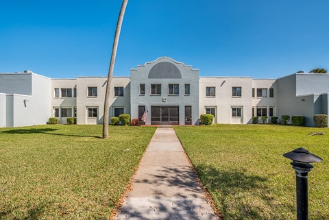 a large white building with a palm tree in front of it