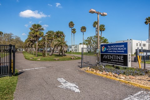a park with palm trees and a sign that reads avenue