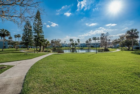 a park with a pond and palm trees