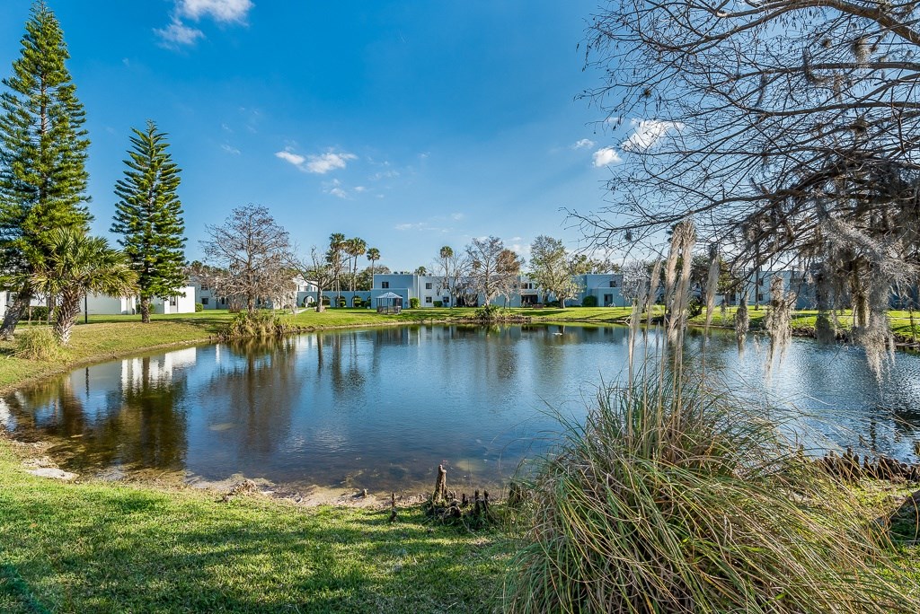 a small lake with apartment buildings in the background