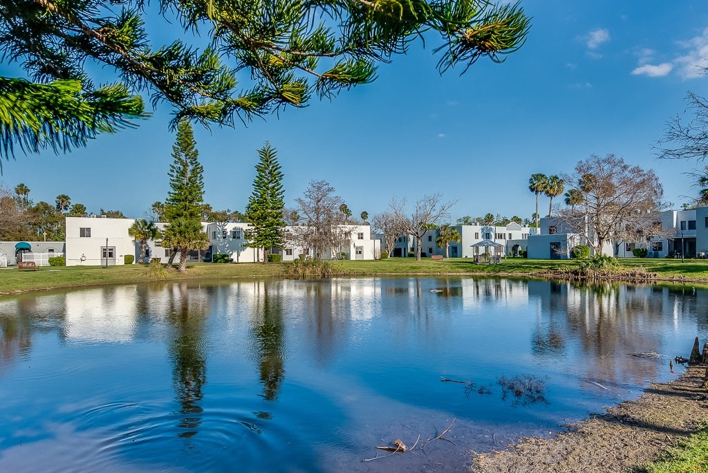 a large pond with houses in the background