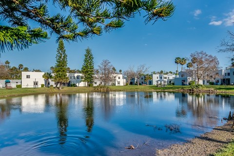 a large pond with houses in the background