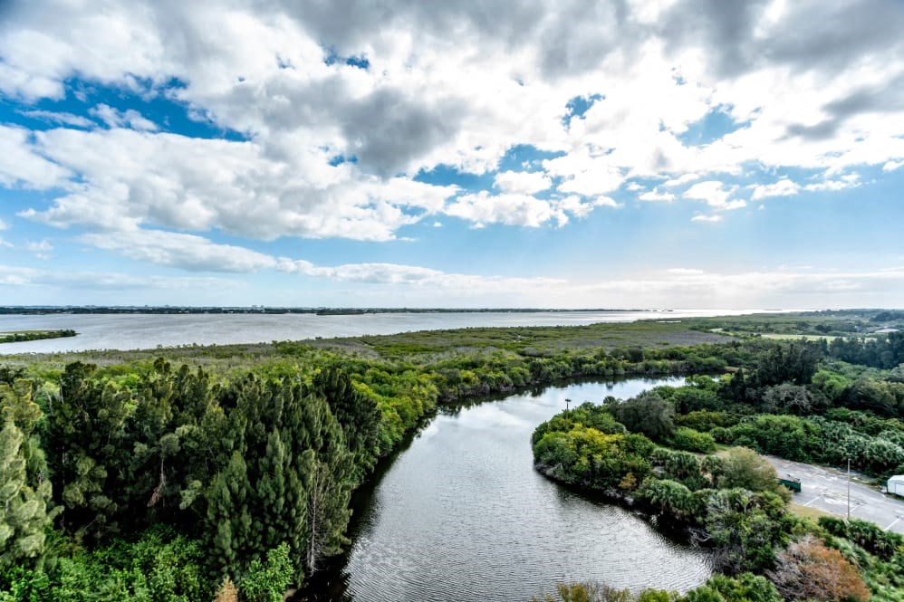 an aerial view of a river with trees and a body of water