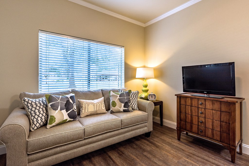 a living room with a couch and a television