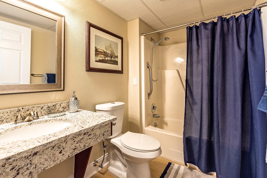 a bathroom with a sink and a toilet and a shower
