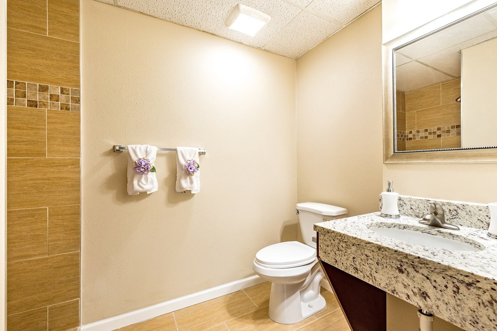 a bathroom with a toilet and a sink and a mirror