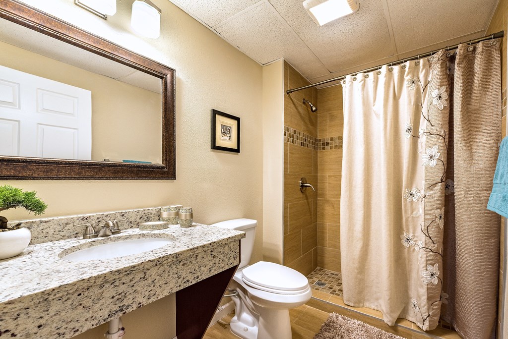 a bathroom with a shower toilet and sink and a mirror