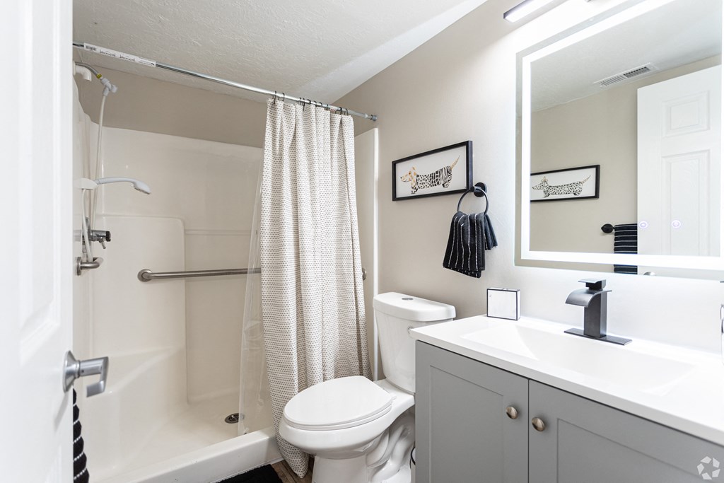 a bathroom with a shower toilet and sink and a mirror