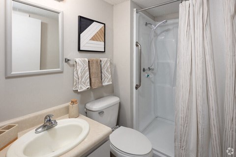 a bathroom with a shower and a sink and a mirror
