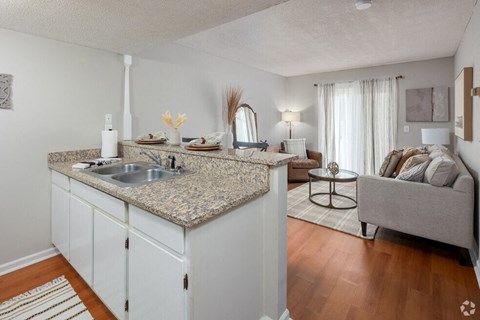 a kitchen with a sink and a living room with a couch