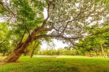 Ideal Location! - Photo Gallery 4