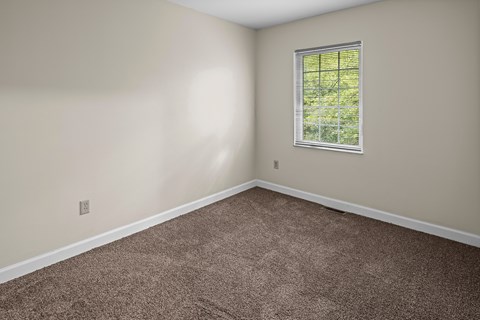 A room with a carpeted floor and a window showing greenery outside.