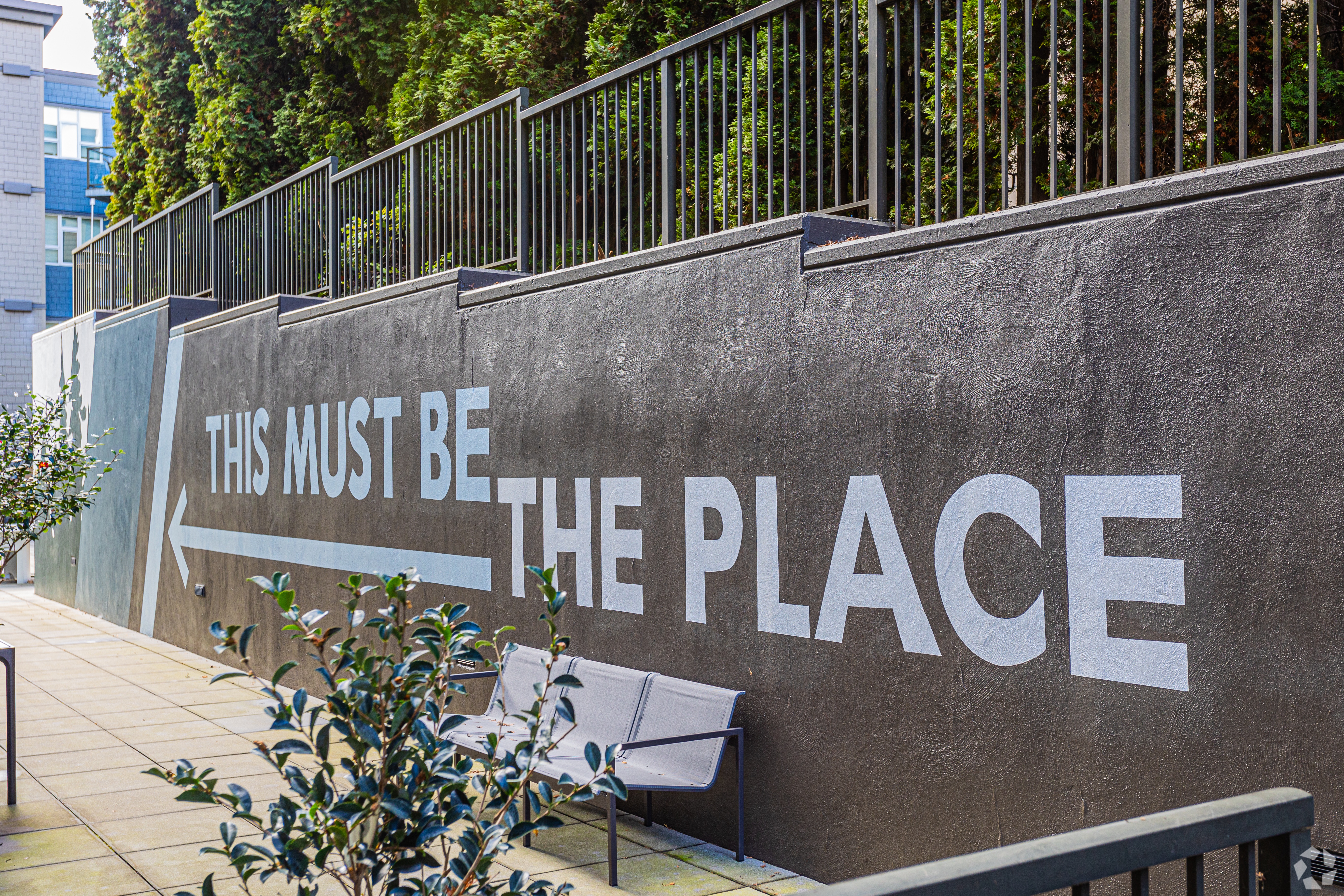 A wall with the words "This must be the place" painted on it.