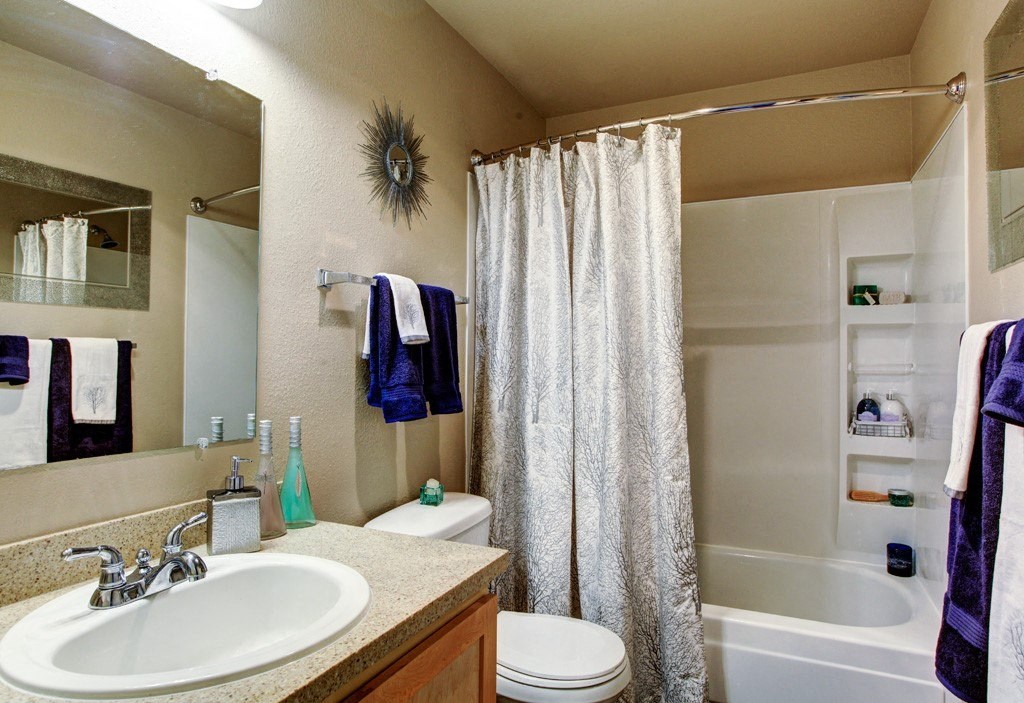 a bathroom with a sink toilet and a shower at 2000 Lake Washington Apartments, Renton