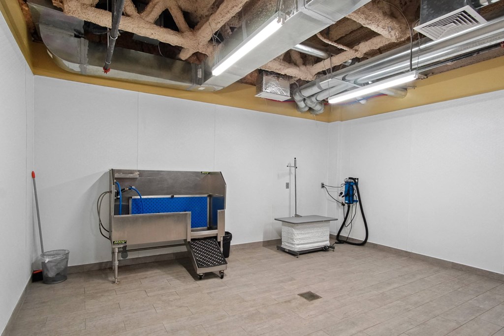 Dog Wash at the Heights at Glen Mills in Glen Mills, PA