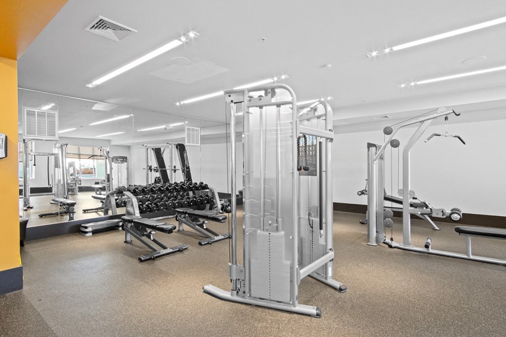 Strength Equipment in the Fitness Center at the Heights at Glen Mills in Glen Mills, PA